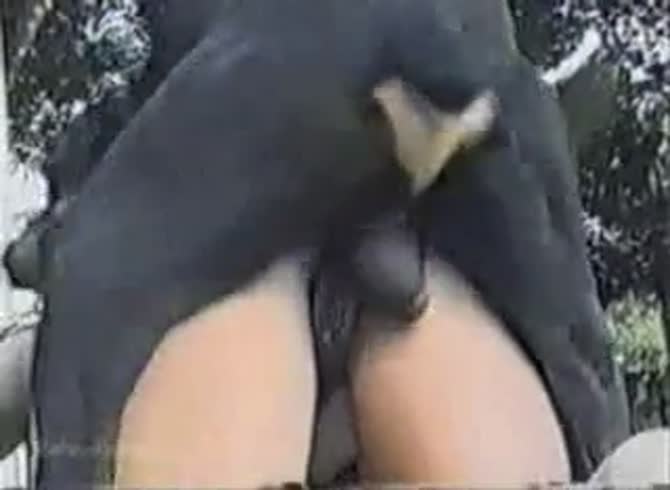 Video :Women's wet holes getting dog orgasm compiled
